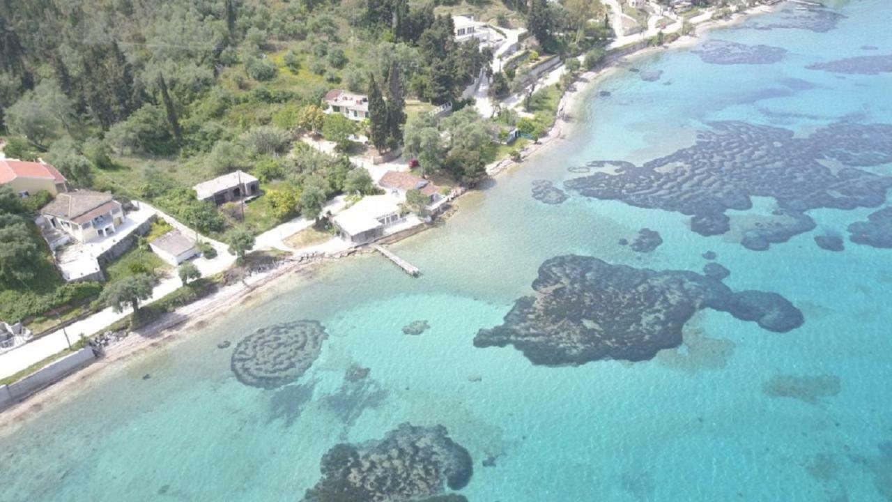 Вілла Blue Horizon Букарі Екстер'єр фото